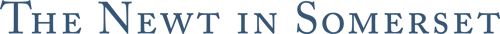 The Newt_In-line - Blue Logo_C84 M63 Y33 K19 1